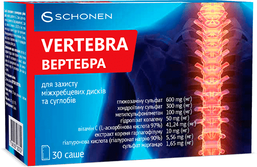 vertebra вертебра