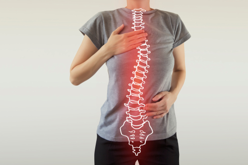 vertebra при заболевании позвоночника